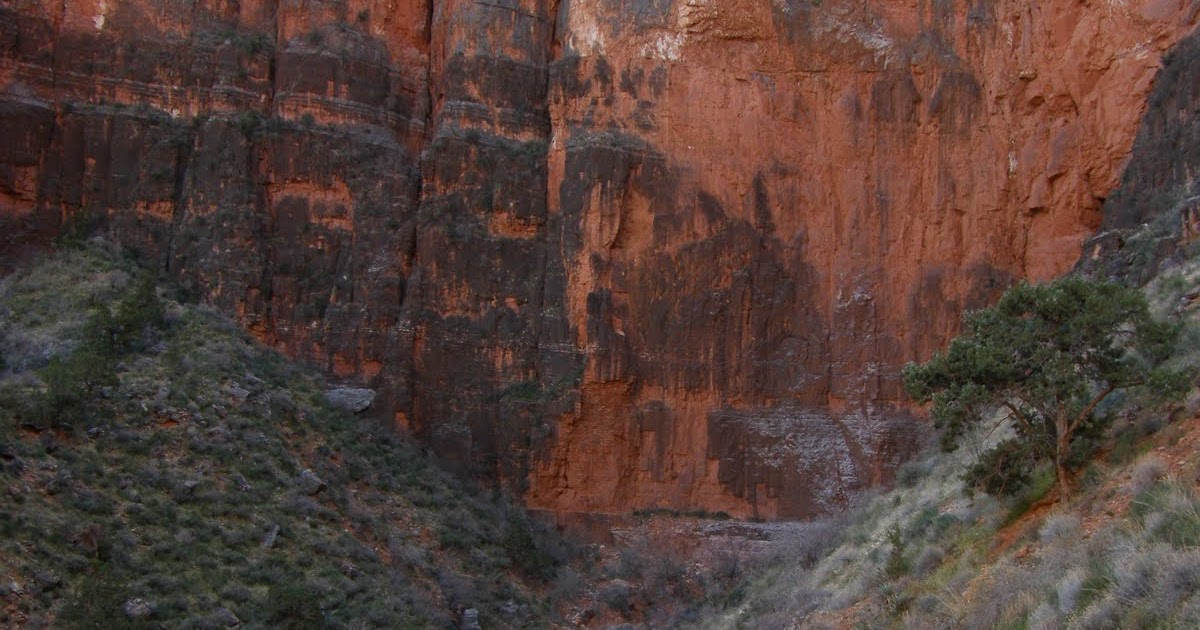 Oak Creek Angler Grand CanyonTrout Not Wanted Here, January 2012