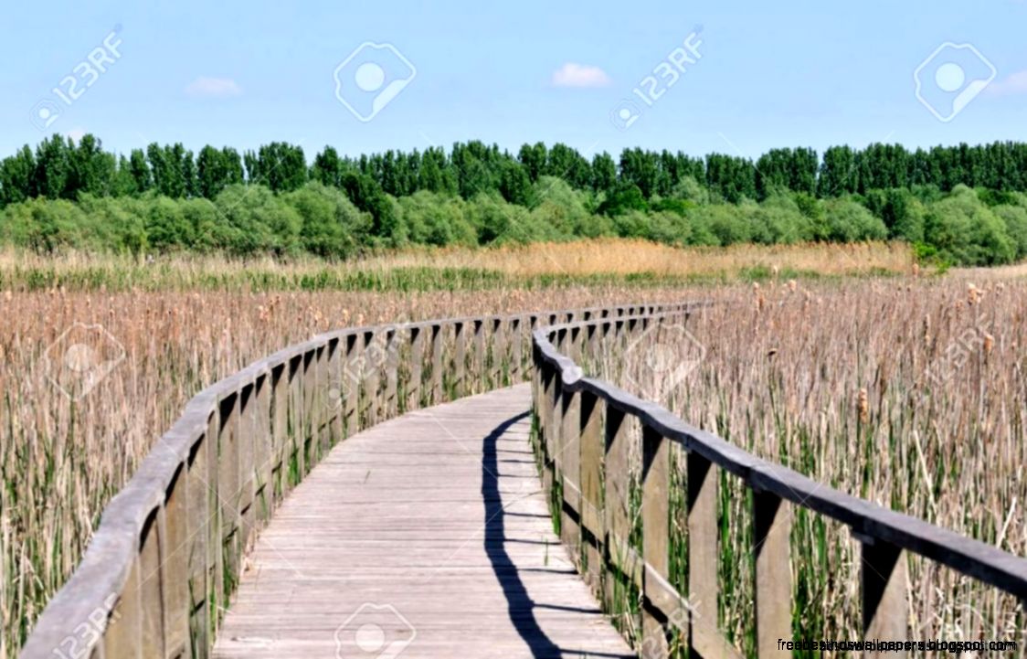 Long Path Over Water Best Wallpaper HD Long Path Over Water Best Wallpaper HD