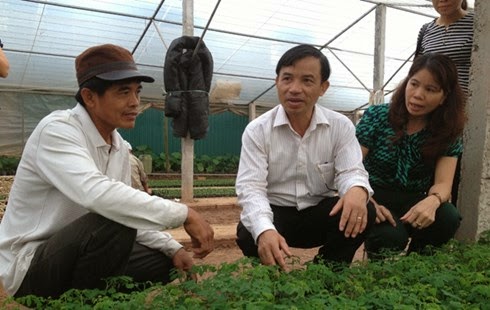 Chi phí mua hạt giống nhập ngoại cao, khó chủ động nên nhiều nông dân đã tự lựa chọn, lai tạo giống phục vụ sản xuất. ảnh: Ông Trần Tuyết Hưng (ngoài cùng tay trái) ở quận Long Biên, Hà Nội đã tự nhân giống cây chùm ngây.