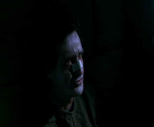 Download Dragons Riders of Berk Season 1 Download 480p