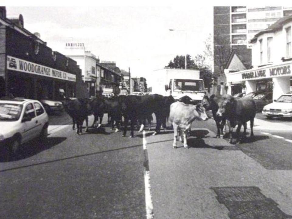 E7 Now & Then The street where you live (1) Woodford Road