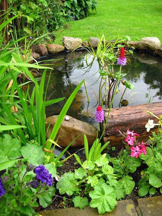 Natural-backyard-design-ideas-with-pond
