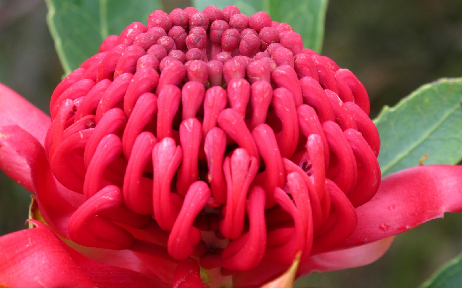 Old writer on the block Not your usual colonial poet