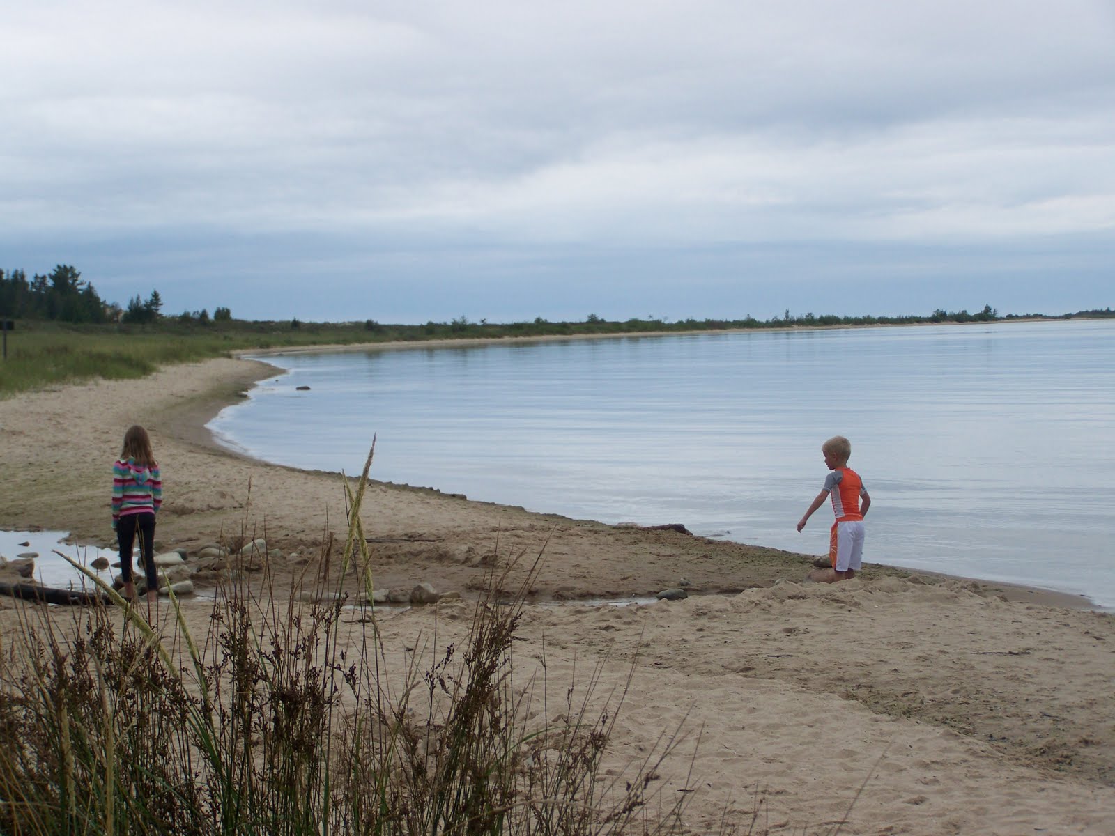 steeped Camping at Fisherman's Island State Park