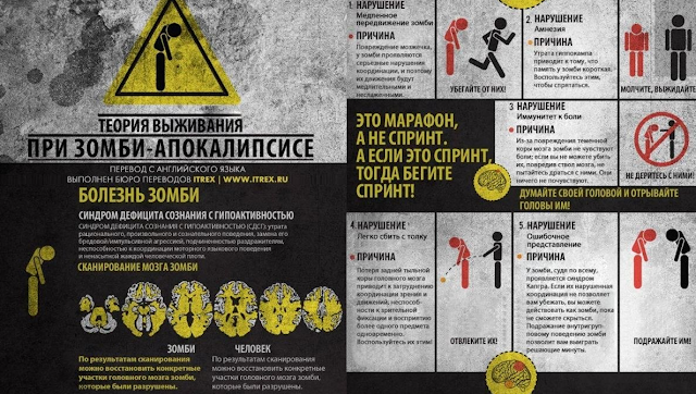 Выучи своими руками Выучи своими руками