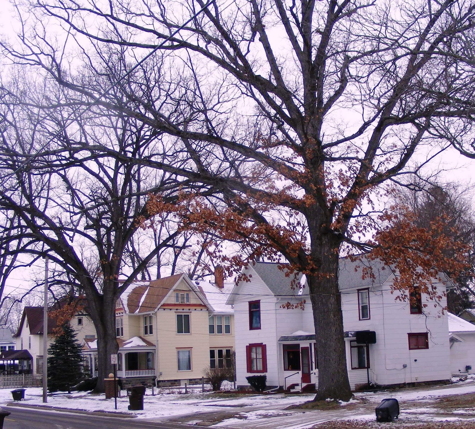 Eaton Rapids Joe The Trees of Eaton Rapids, Part 1