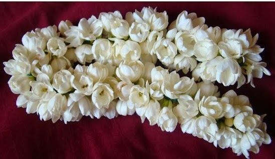 Bildergebnis für அல்வாவும், மல்லிகைப் பூவும்