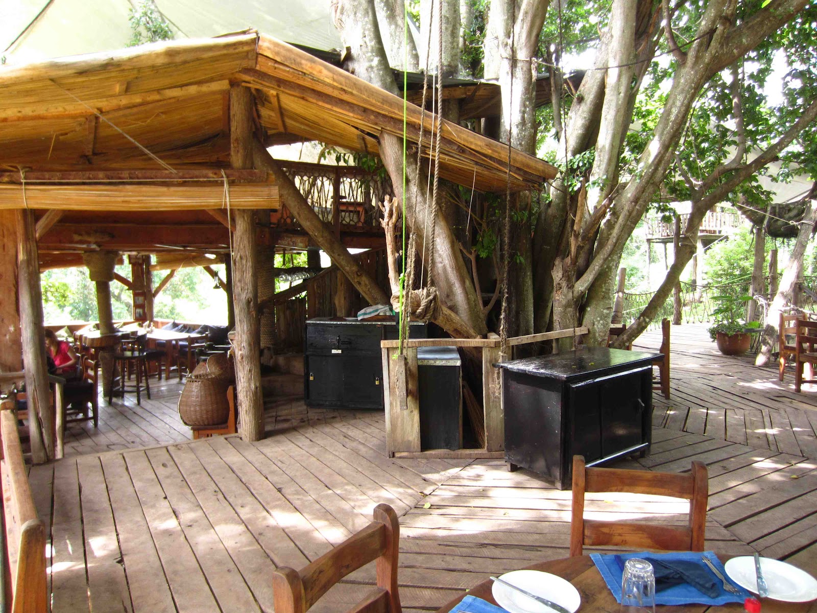 My Summer in Kenya Nanyuki