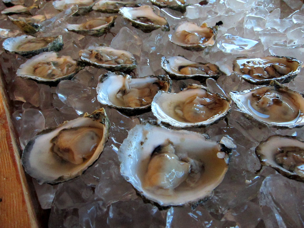 Fishtails and Pearls Island Creek Oyster Festival 2011