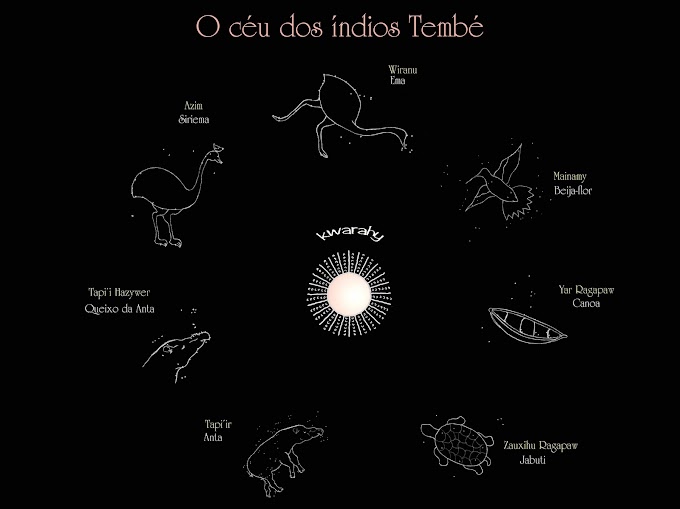 Constelações Indígenas