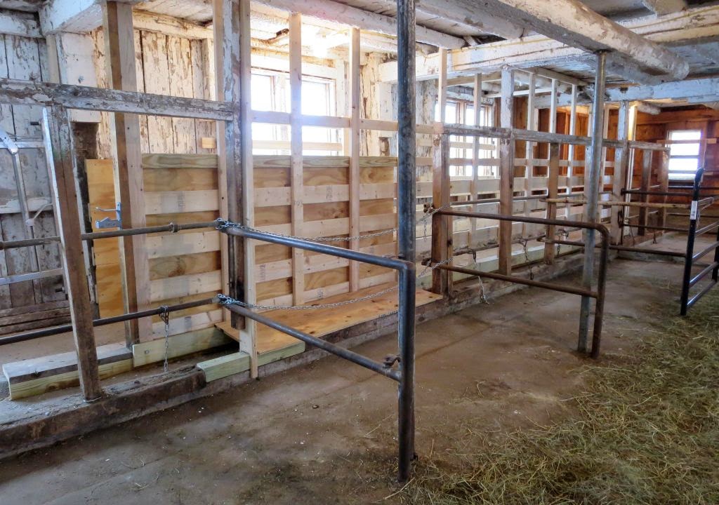 Windswept Adventure Building A Cattle Squeeze Chute