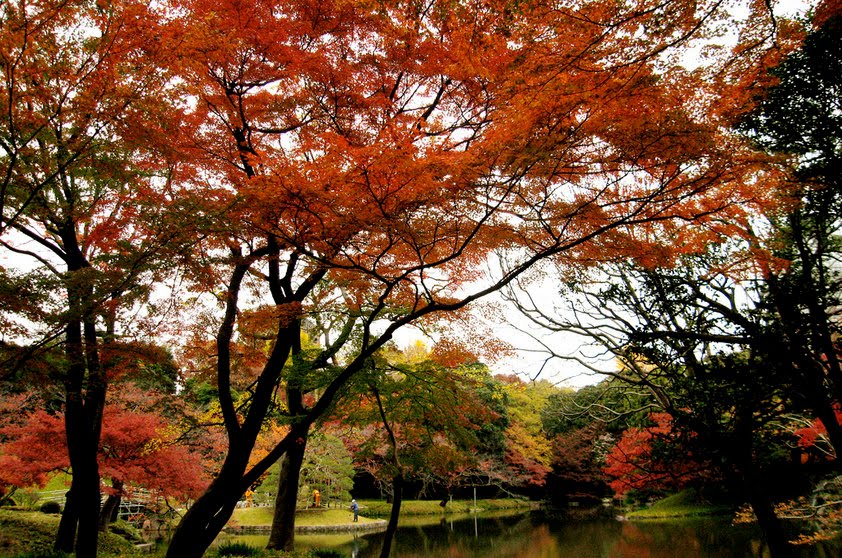 RW PAISAGISMO ESPECIAL OS MAIS BELOS JARDINS DO MUNDO RW PAISAGISMO ESPECIAL OS MAIS BELOS JARDINS DO MUNDO
