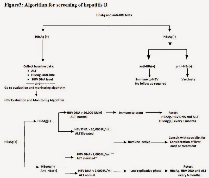 Hepatitis B Flow Chart