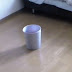 cool moving trash can