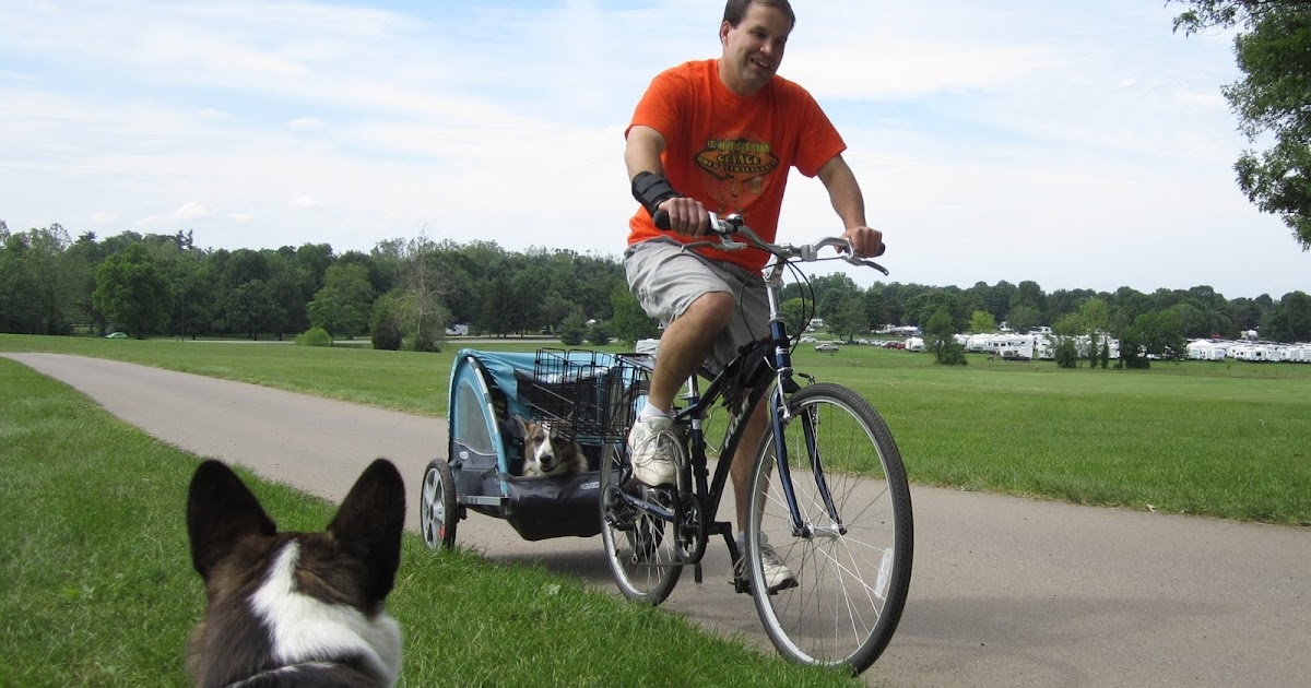 The Brews Brothers Cart
