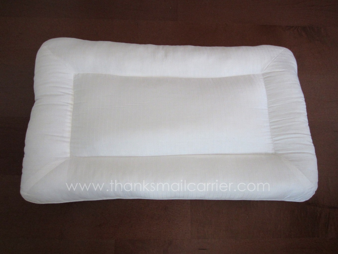 Thanks, Mail Carrier Qbedding Bamboo Charcoal Fiber Pillow {Review}