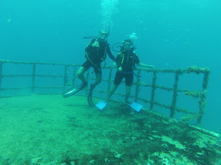 diving Dominican republic