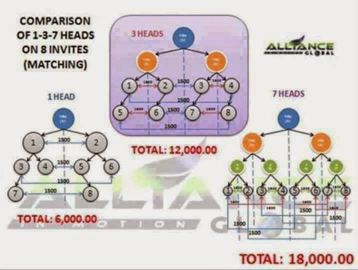 THE DIFFERENCE BETWEEN 1 HEAD, 3 HEADS AND 7 HEADS....