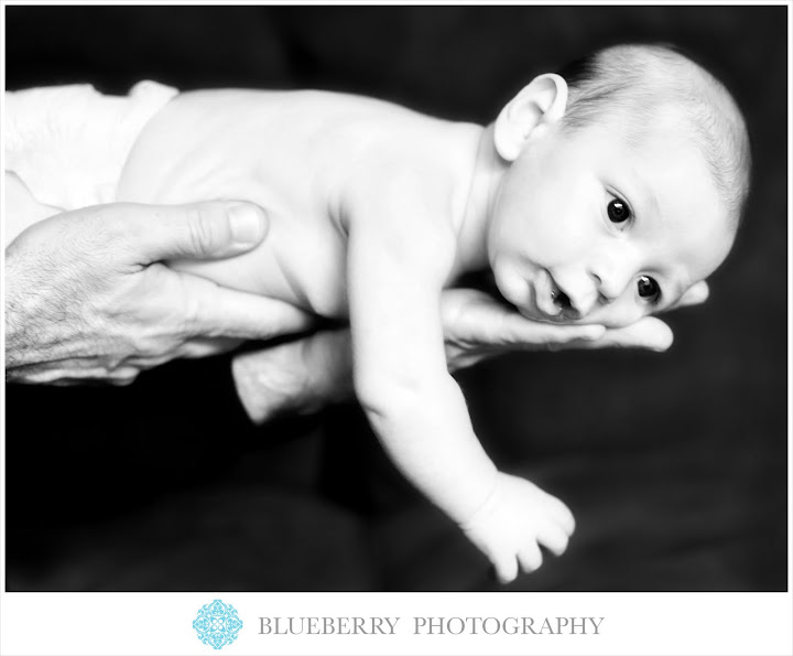 berkeley newborn photography session
