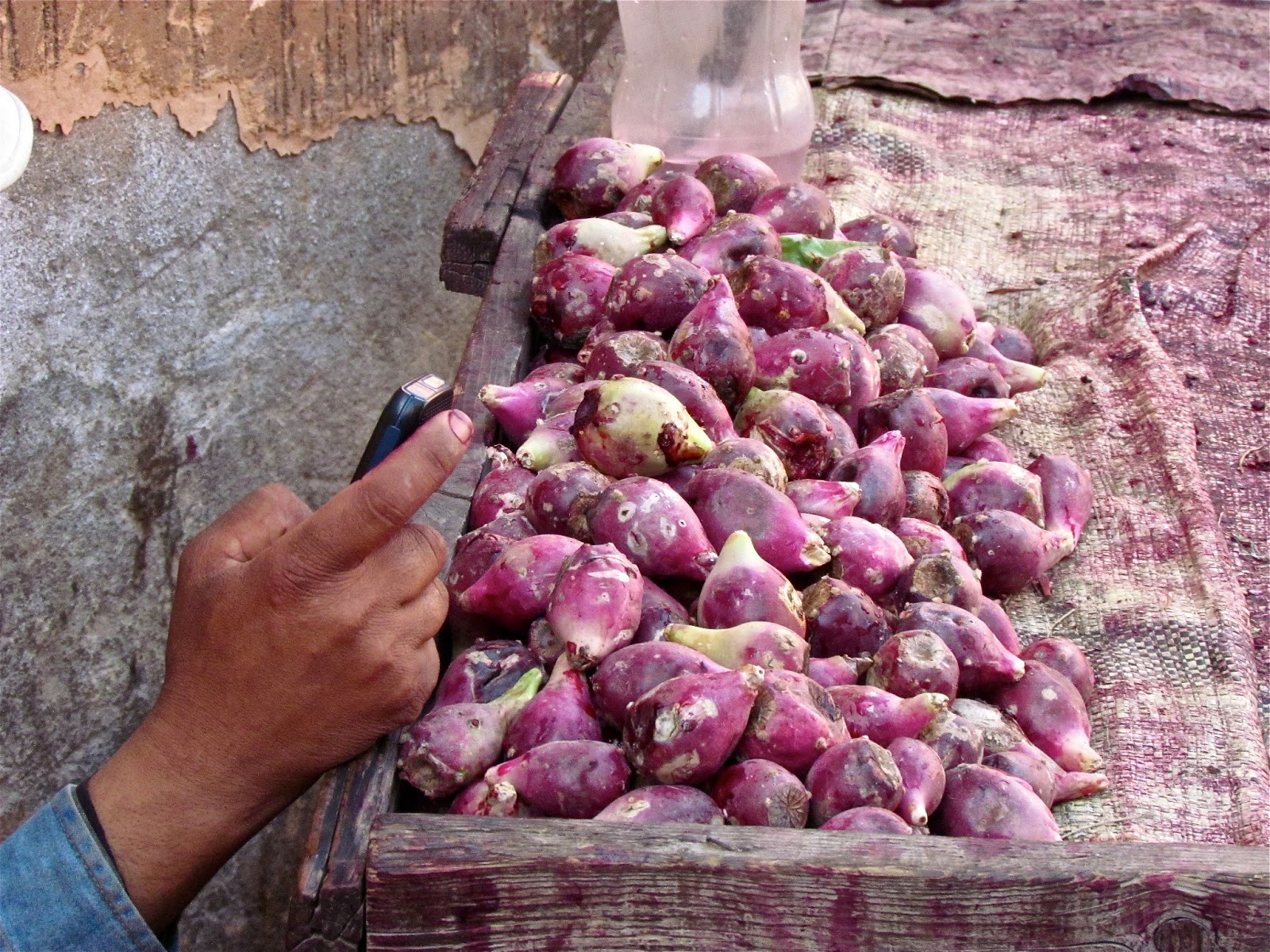 Flavors of the Sun A Special Tuna Salad and Moroccan Market Food