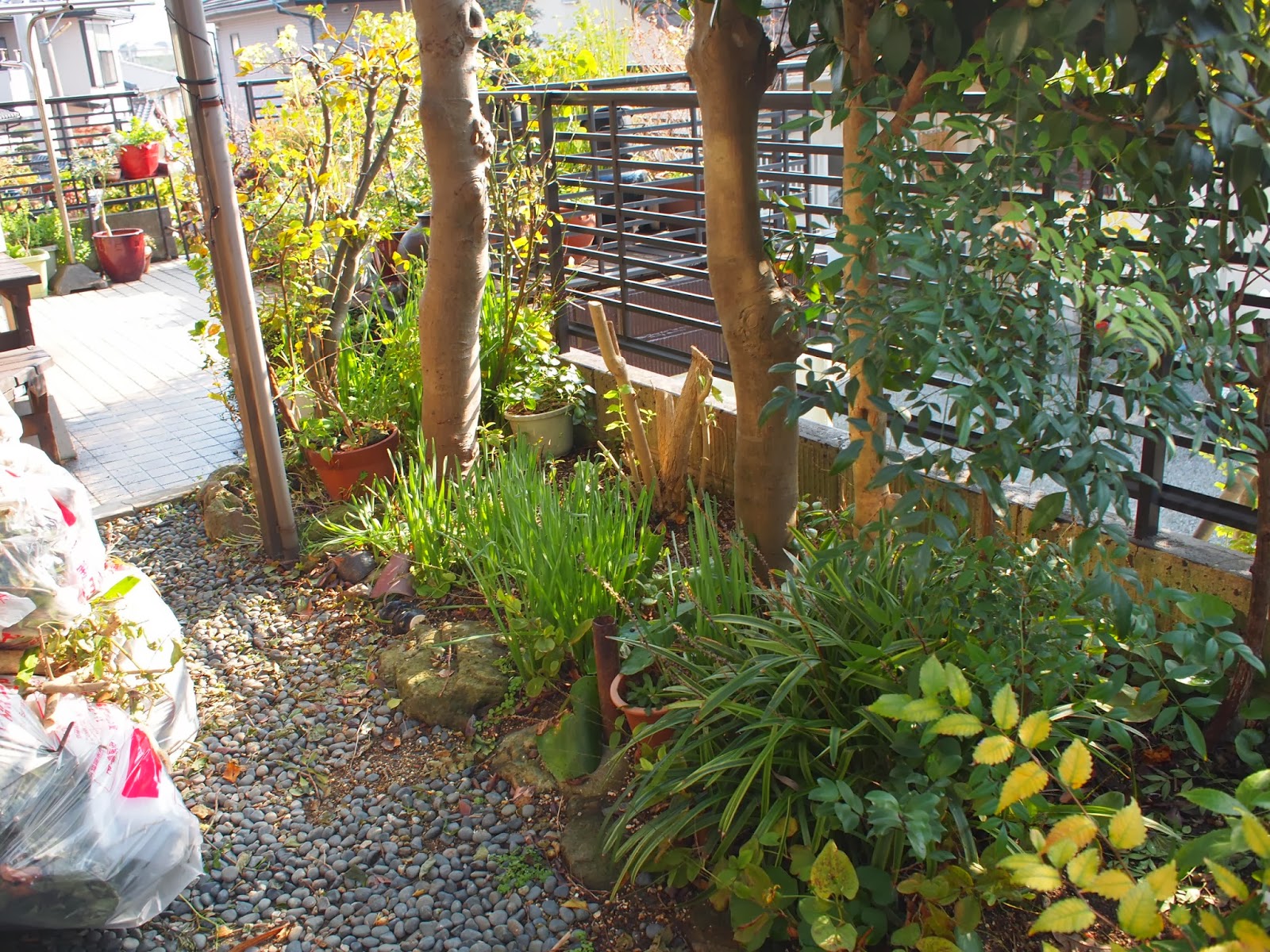 木植えます Plant A Tree 六方石 をアクセントに花壇のリガーデン