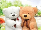 sweet teddy bear :)