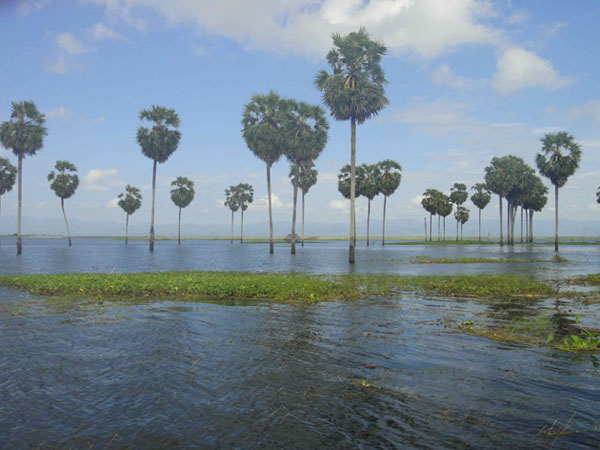 The most attractive lake in Indonesia, Danau Tempe | The ...