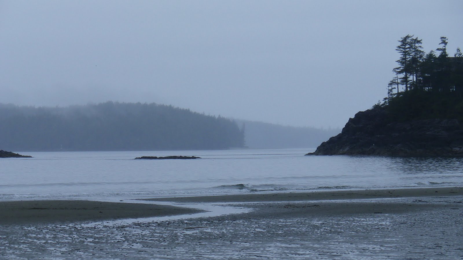 IMGP0302.JPG
