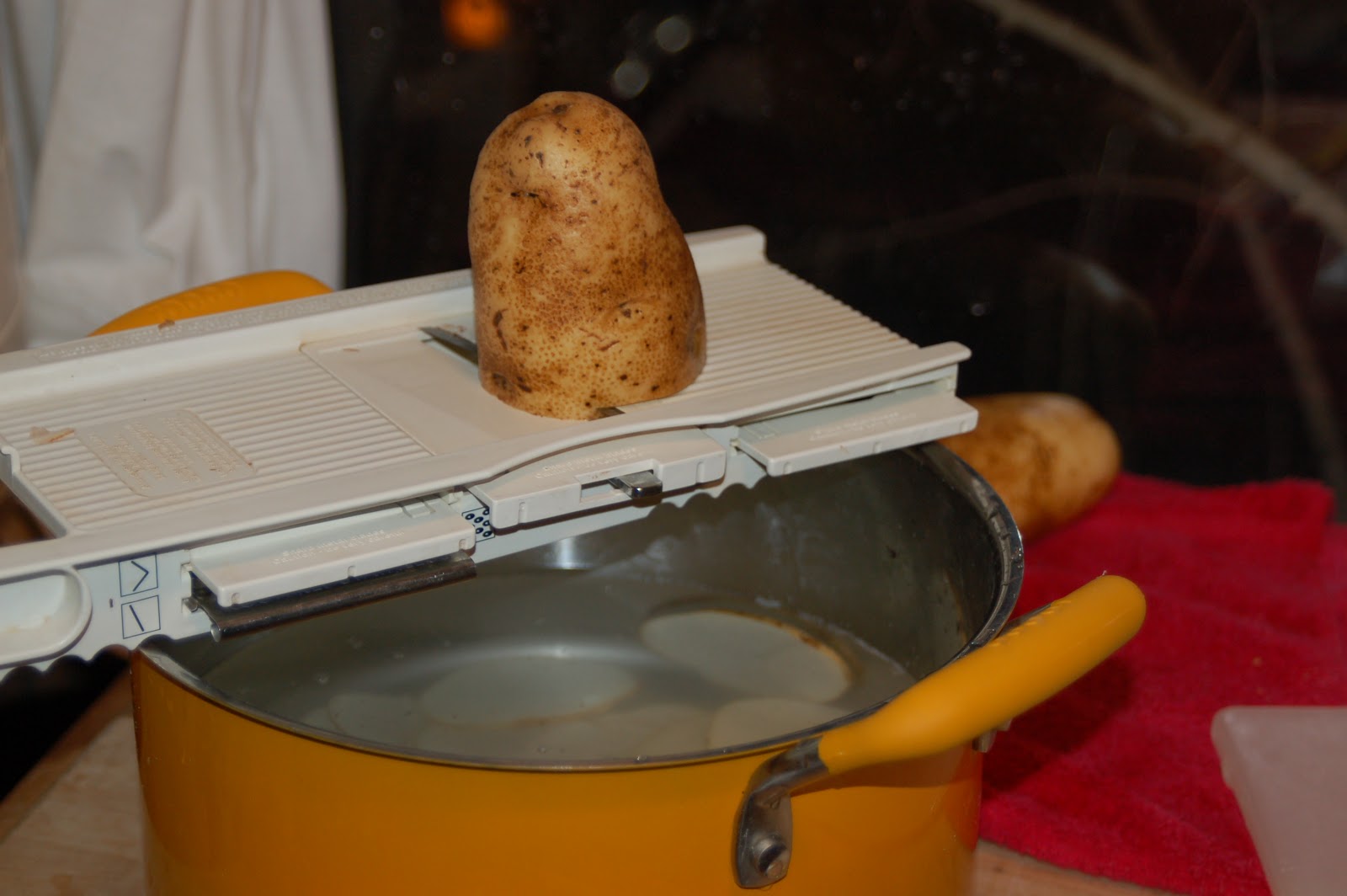 Dehydrating Way Beyond Jerky Potato Chips? Of Course!