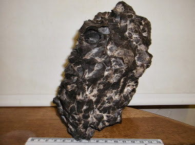 Unknown looks like an iron Meteorite but dosn't test like one ?.