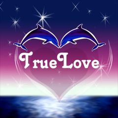 HD Snapshots: love wallpapers true love wallpapers love snapshots i love u wallpapers i ...