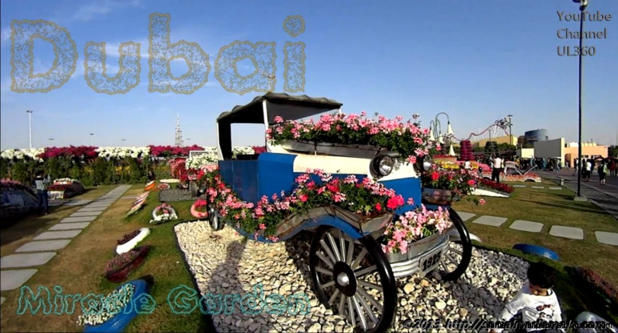 Dubai Miracle Garden The Most Beautiful and Largest Natural Dubai Miracle Garden The Most Beautiful and Largest Natural