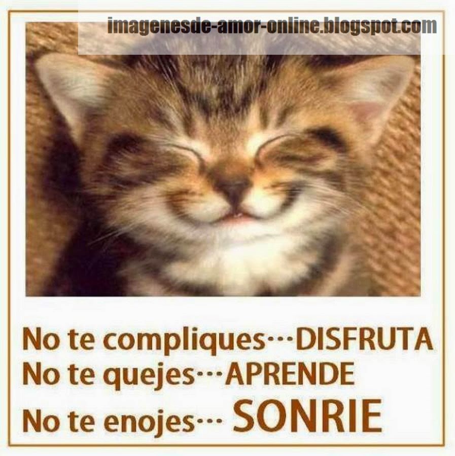 Resultado de imagen para carteles con mensajes de amor