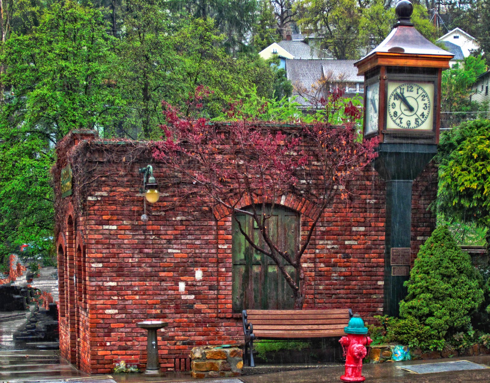 Thom Zehrfeld Photography Placerville California