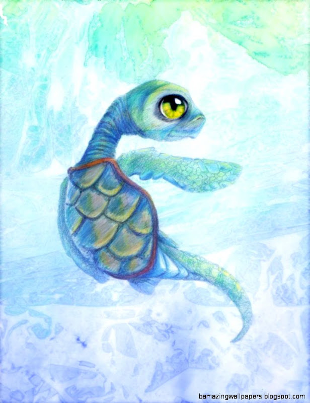 Baby Sea Turtle Drawing   Top Images Baby Sea Turtle Drawing   Top Images
