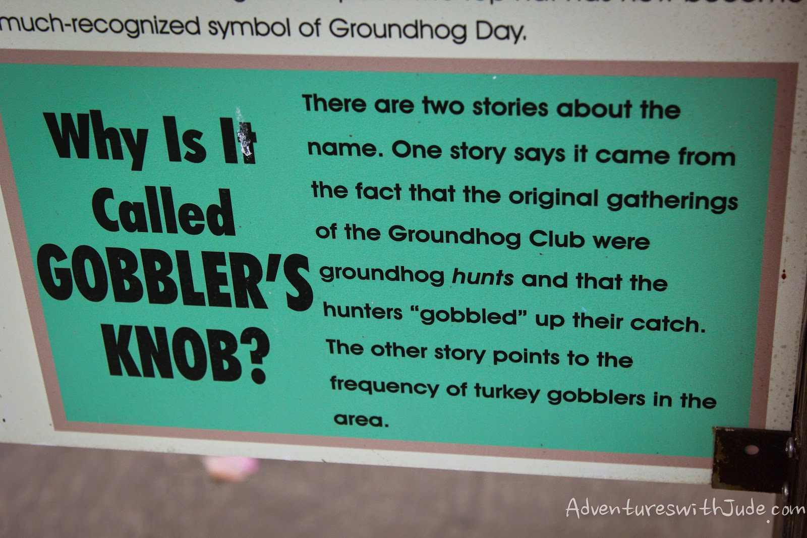 Adventures with Jude Visiting Phil Punxsutawney or Bust!