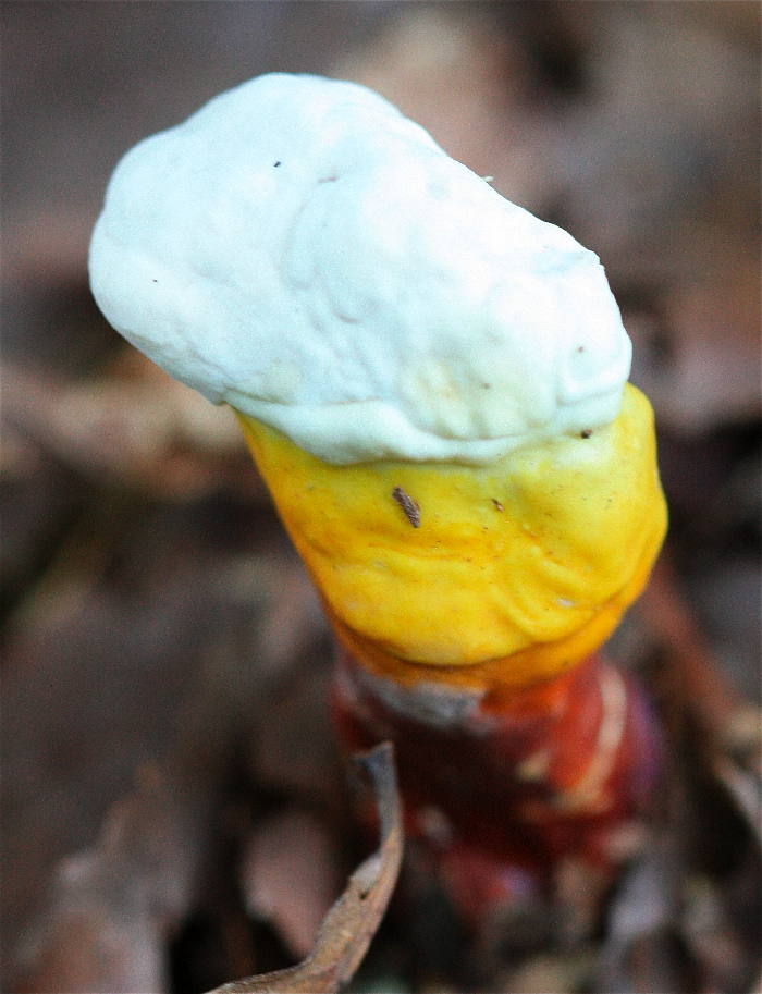 Knit, Click, & Stir when it rains, it pours