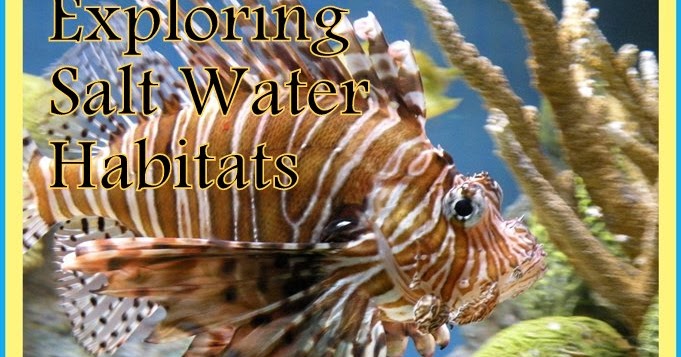 Homeschooling Just Next Door: Exporing Biomes - Salt Water Habitats