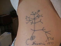 Small Family Tree Tattoo Designs Small Family Tree Tattoo Designs