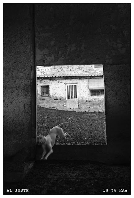 La Cueva de Miguelón. Fotografía Ángel Luis Juste