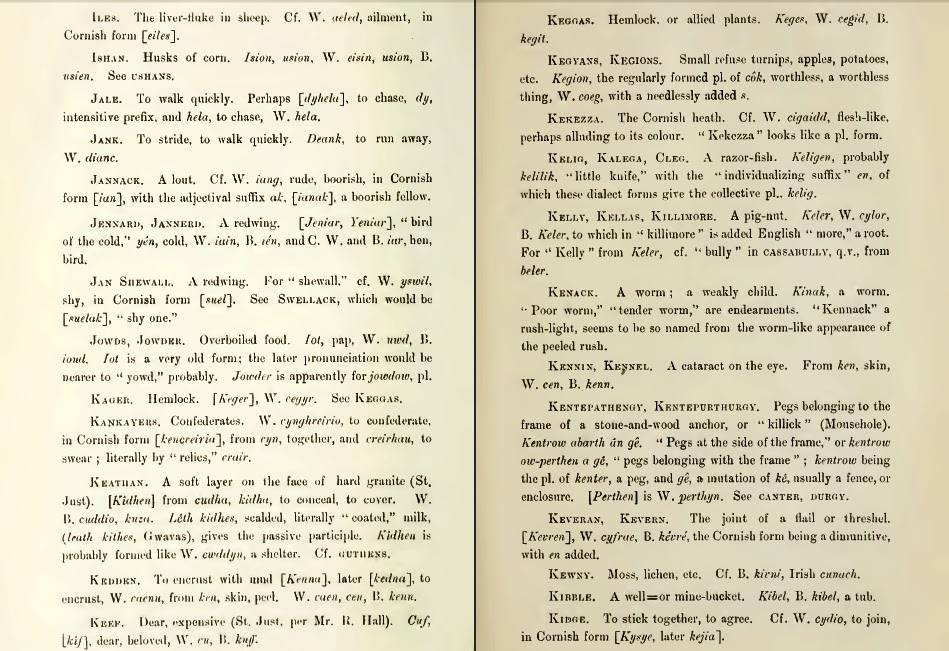 Celtic Words in Cornish Dialect Glossary of Celtic Words in Cornish