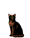 Animation Bundle: Animated Cats Jumping Playing and Running Around See