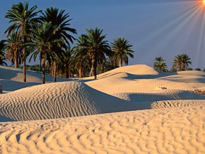 El desierto del Sáhara