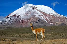 RESERVA FAUNÍSTICA CHIMBORAZO