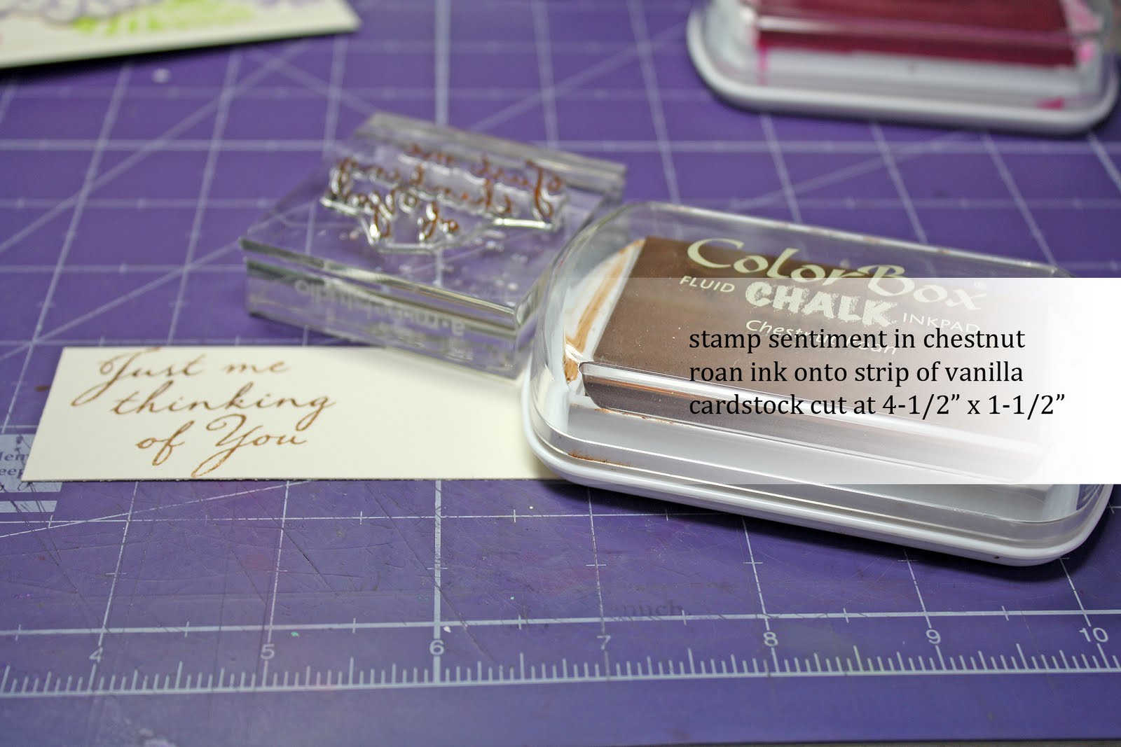 My Pink Mexico Picture Tutorial Colorbox Chalk Inks & Hero Arts Stamps