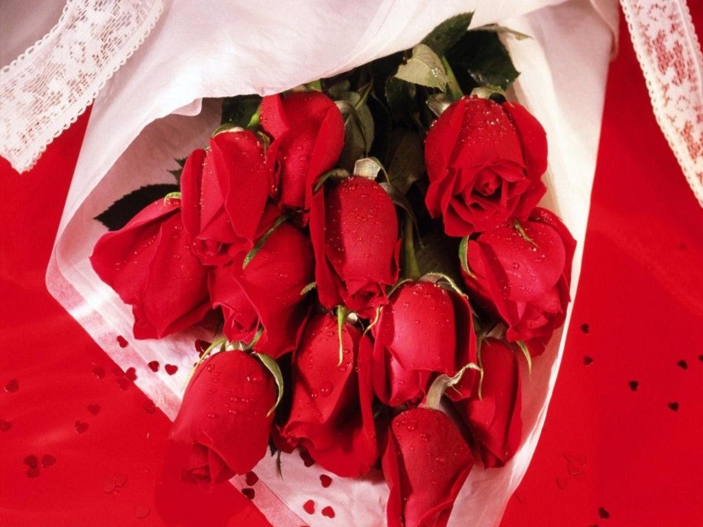 Cute Wallpaper's Cute Red Roses