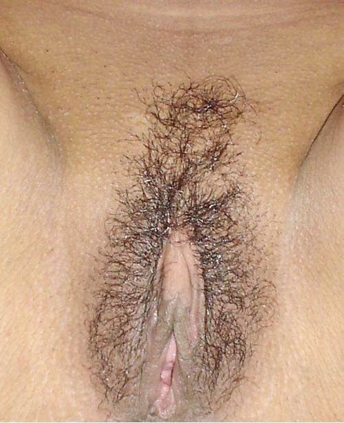 Hairy Pussy Free Pictures