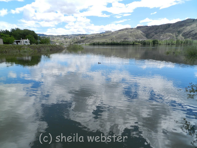 High water in the Slough of McArthur Island in Kamloops, BC