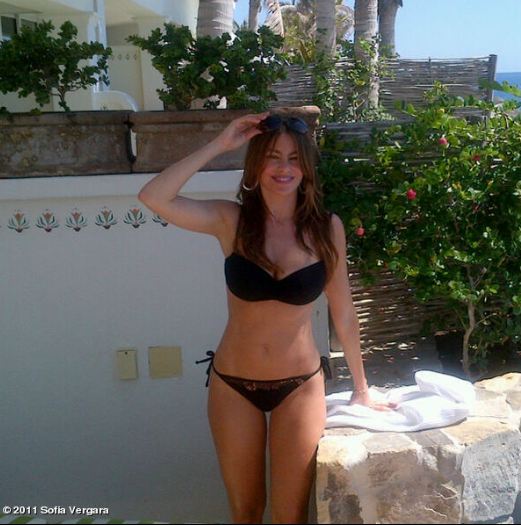 Sofia Vergara Tweets photo in a tiny black bikini while in Mexico