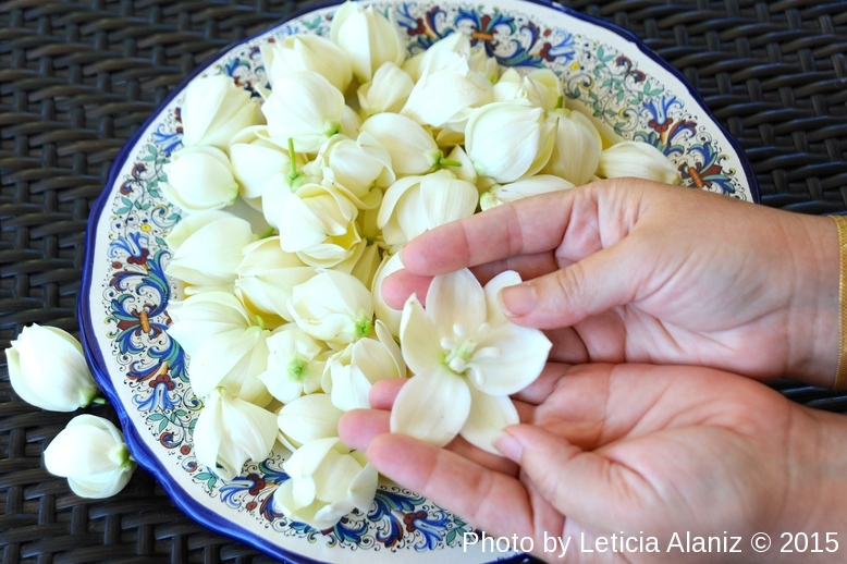 Leticia Alaniz: Flor de Izote (Yucca) Blossoms Omelette